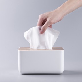 Paper Napkins Manufacturer - Wholesale 2ply