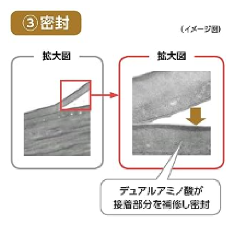 Hair Treatment Supplier - TSUBAKI Premium Repair