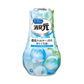 Air Freshener Manufacturer - Toilet Deodorant Soap