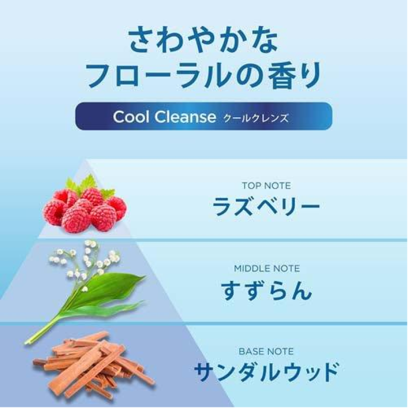 Shampoo Factory - H&s 5 in 1 Extra Large