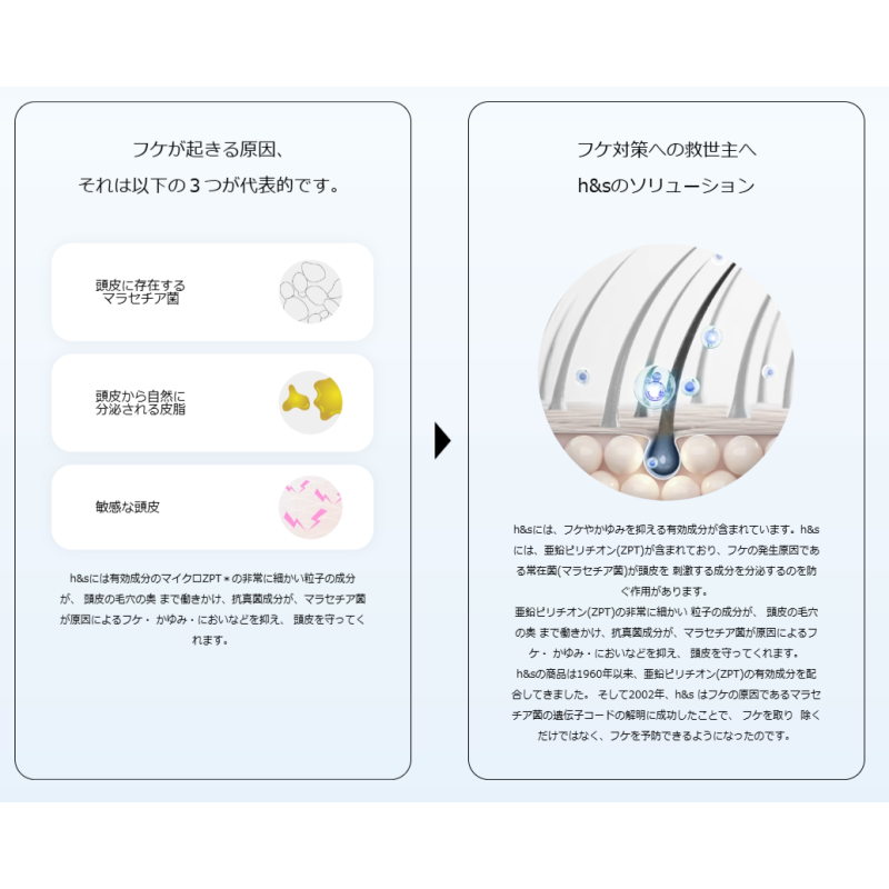 Shampoo Manufacturer - P&G H&s 5 in 1