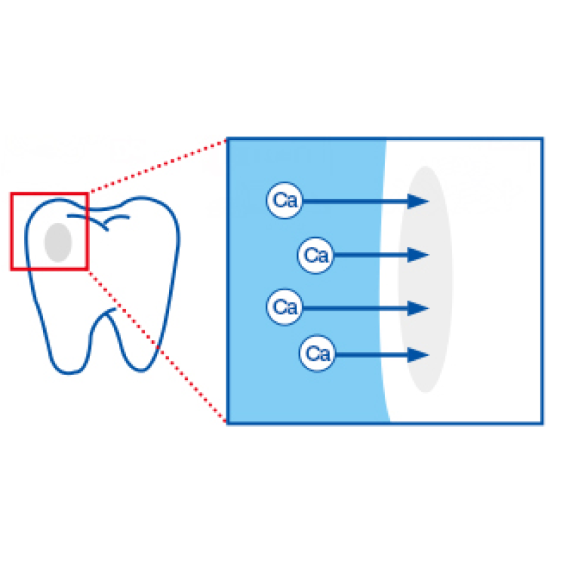Toothpaste Squeezer Manufacturer - DoClear Grape