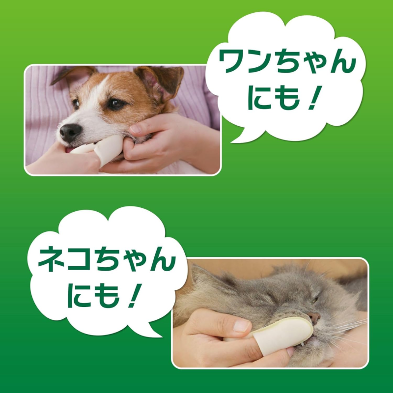 Cat Litter Manufacturer - Lion Pet Deodorizing