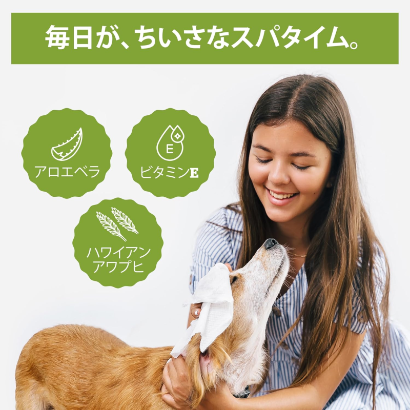 Dog Toys Supplier - Interactive Cotton Ropes