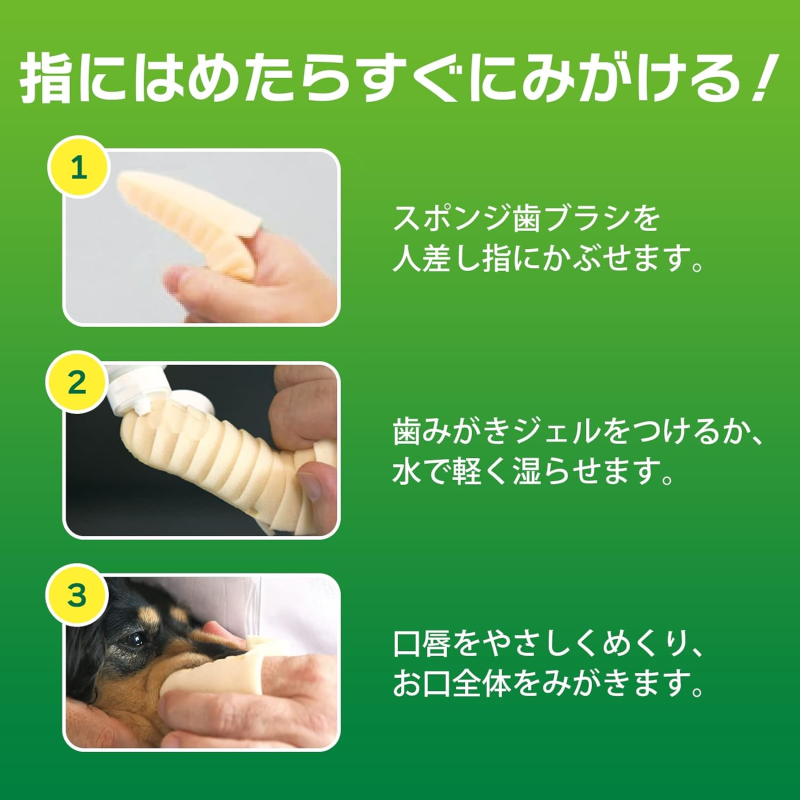 Cat Litter Manufacturer - Lion Pet Deodorizing