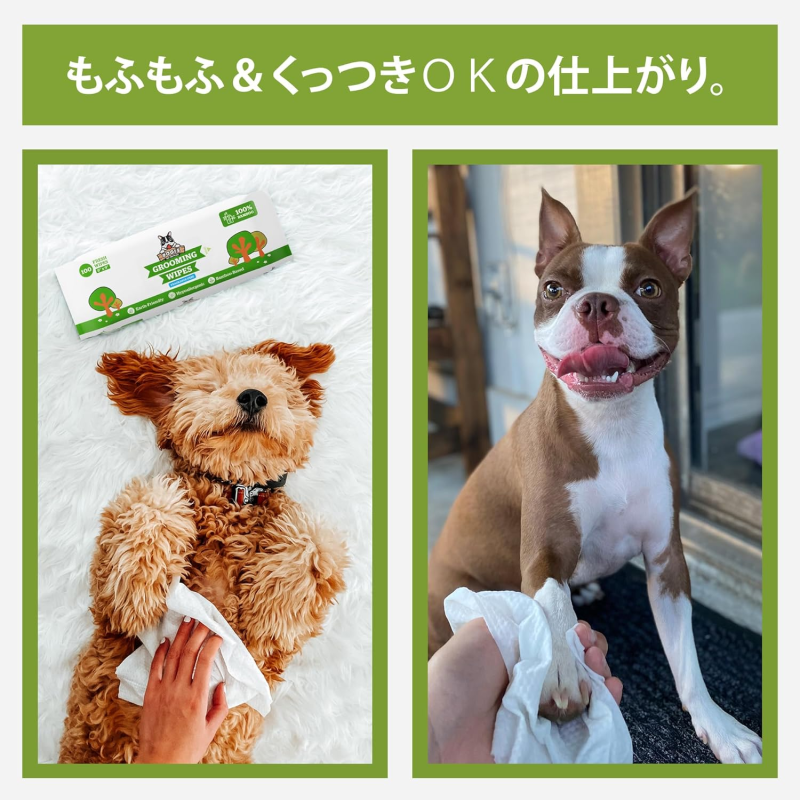 Dog Toys Supplier - Interactive Cotton Ropes