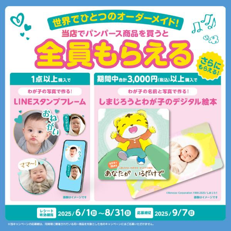 Nursing Pads Manufacturer - Hot Pigeon Bestseller