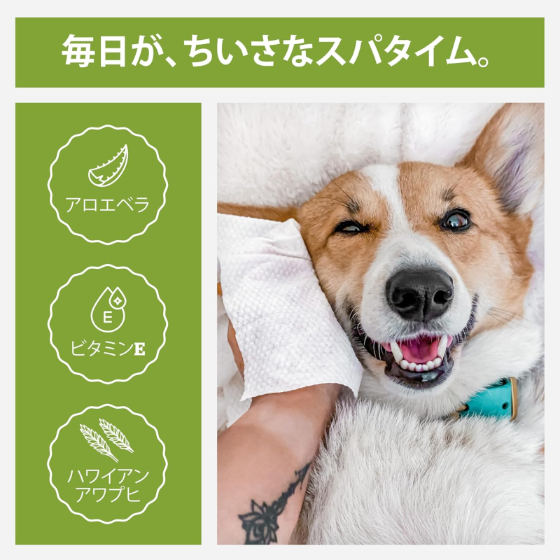 Dog Toys Supplier - Interactive Cotton Ropes