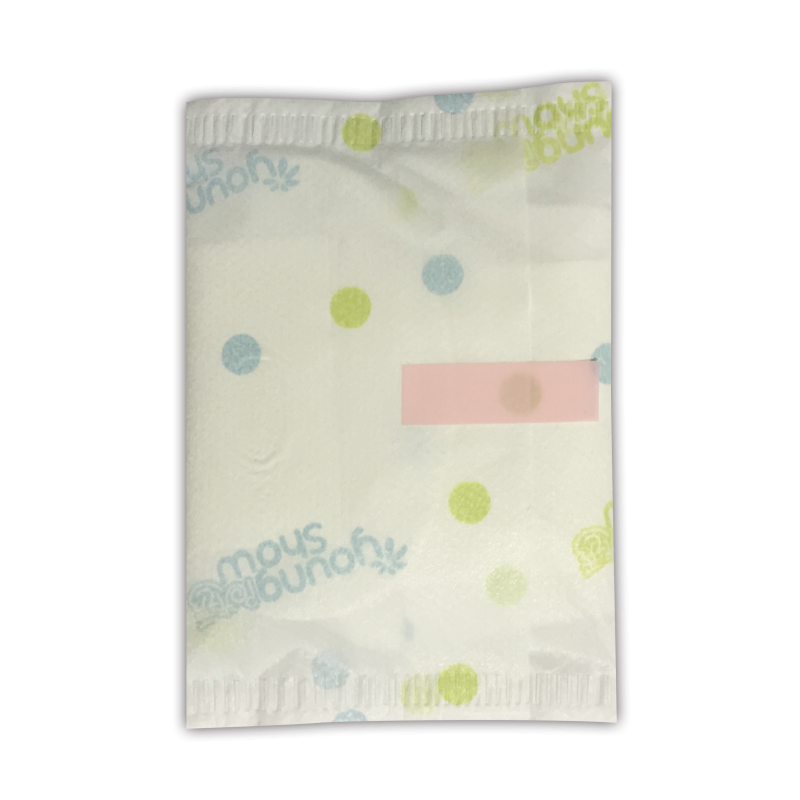 Sanitary Pads Supplier - Antibacterial Panty Liner