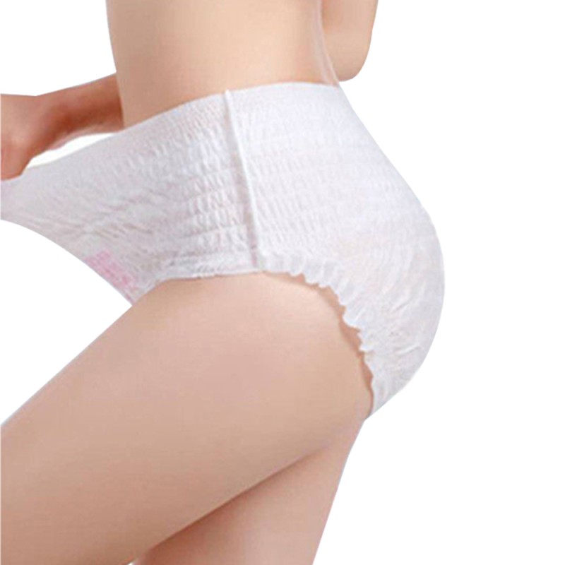 Sanitary Panties Manufacturer - Shenghongda Custom