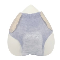 Sanitary Panties Factory - Shenghongda Customized