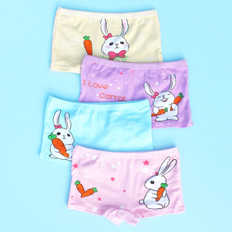 Girls Panties Manufacturer - Cartoon Boxer 4-Pack Soft