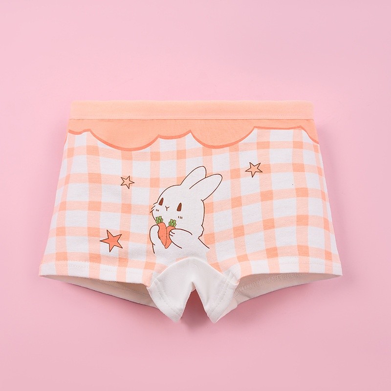 Girls Underwear Factory - Cotton Boy Shorts Boxer Briefs