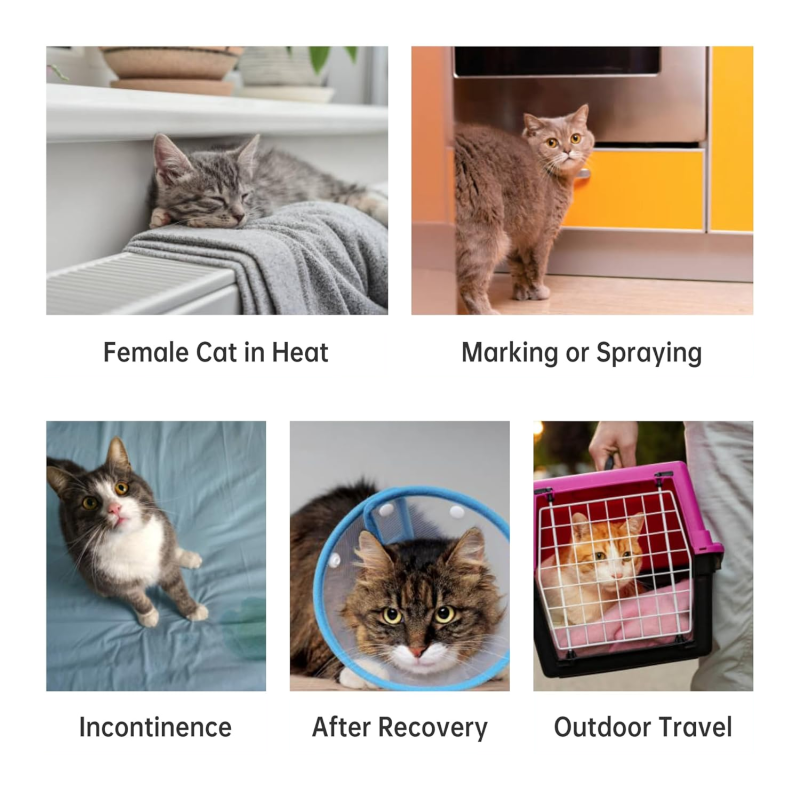 Cat Diapers Manufacturer - Custom Brand Spraying Reusable Adjustable