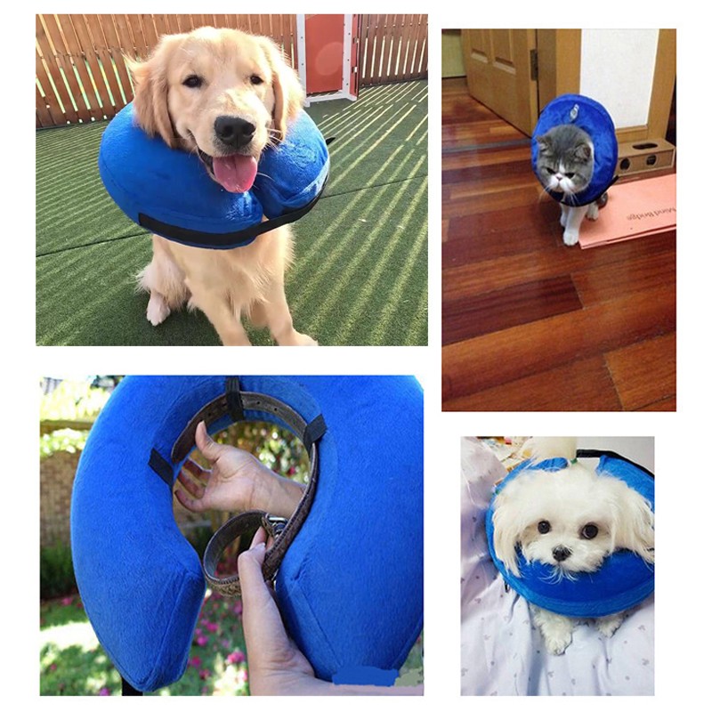 Pet Inflatable Collar Factory - In Stock Soft Dog Cone Adjustable