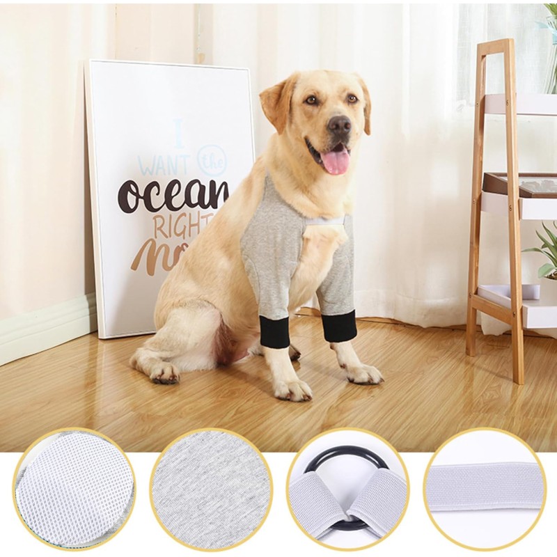 Dog Recovery Suit Manufacturer - Leg Sleeves Elastic Band Front
