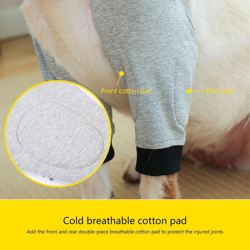 Dog Recovery Suit Manufacturer - Leg Sleeves Elastic Band Front