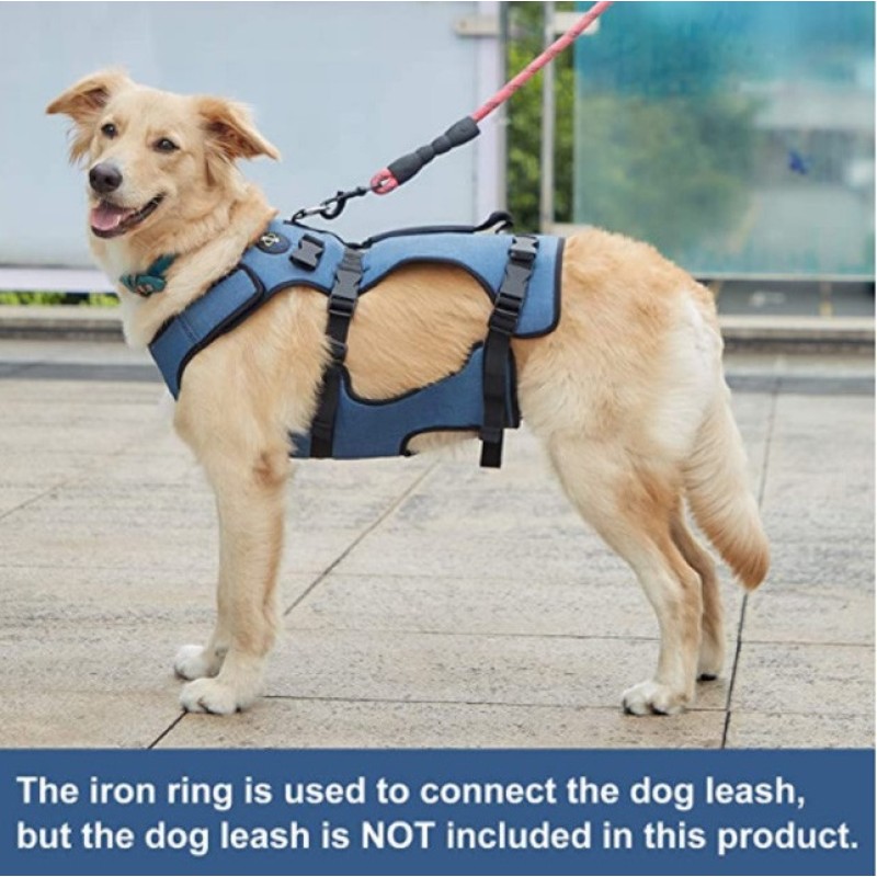 Dog Carry Sling Manufacturer - Wholesale Large Robustness Leash