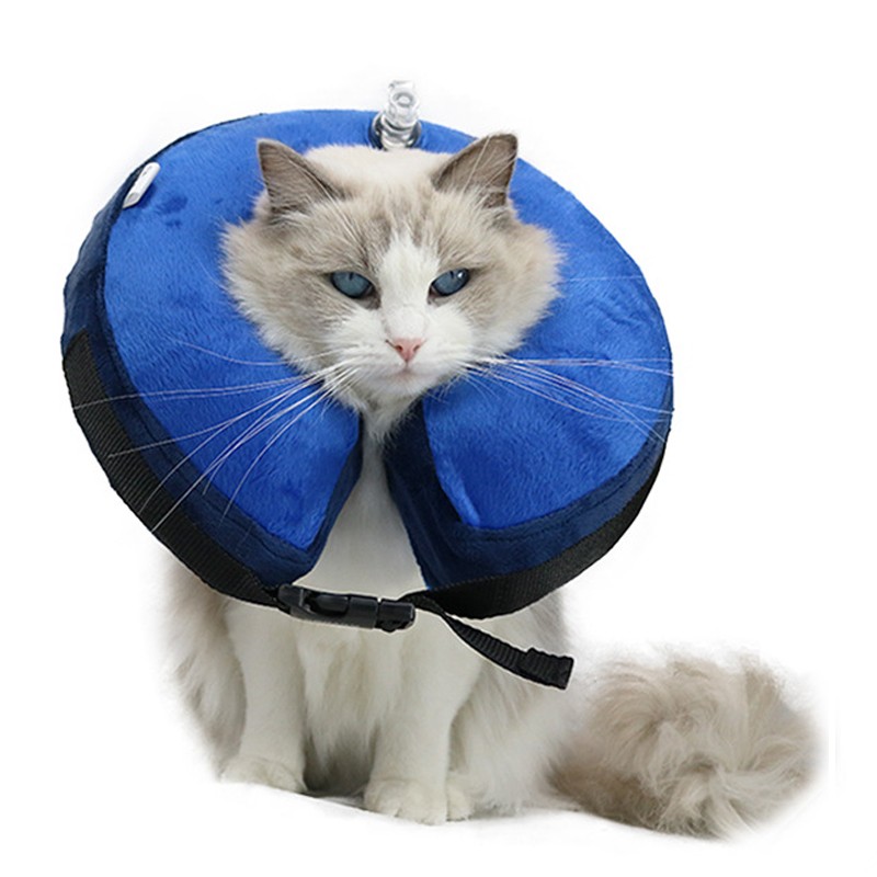 Pet Inflatable Collar Factory - In Stock Soft Dog Cone Adjustable