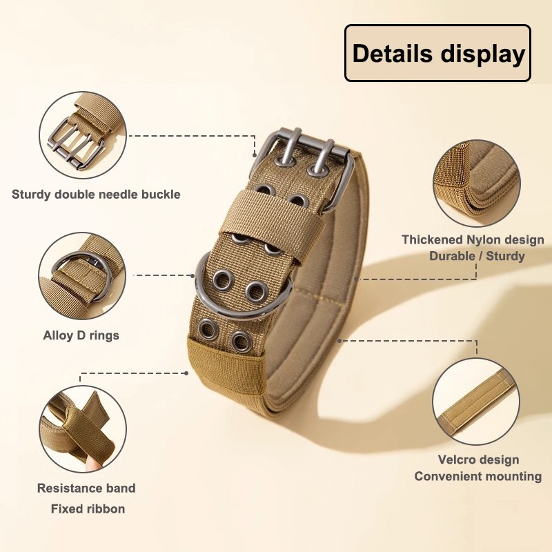 Dog Collar Manufacturer - In Stock Heavy Duty Tactical Nylon