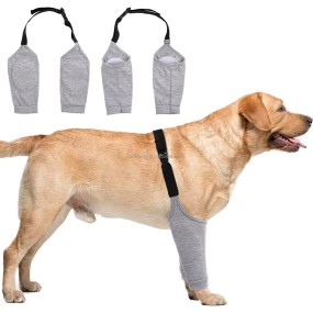 Dog Recovery Suit Manufacturer - Leg Sleeves Elastic Band Front