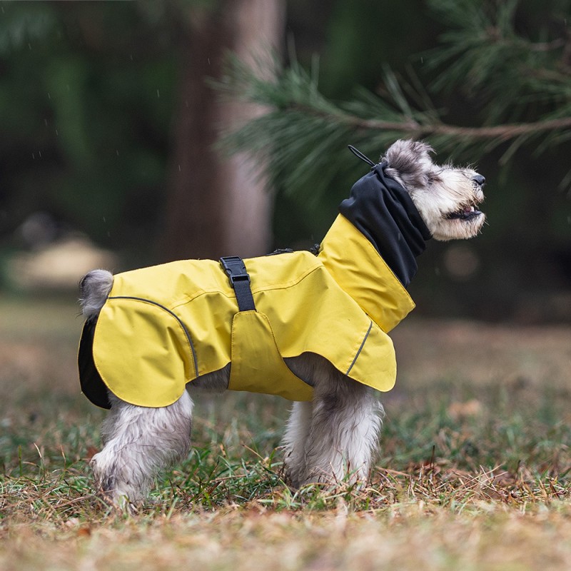 Pet Raincoat Factory - Double Collar Waterproof Reflective