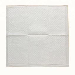Under Pad Manufacturer - Adult Diaper Changing Mat