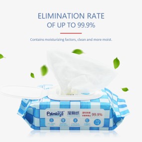 Toilet Wipes Manufacturer - OEM Disposable Super