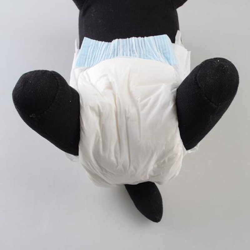 Dog Diaper Manufacturer - High Quality Absorbent Soft Male