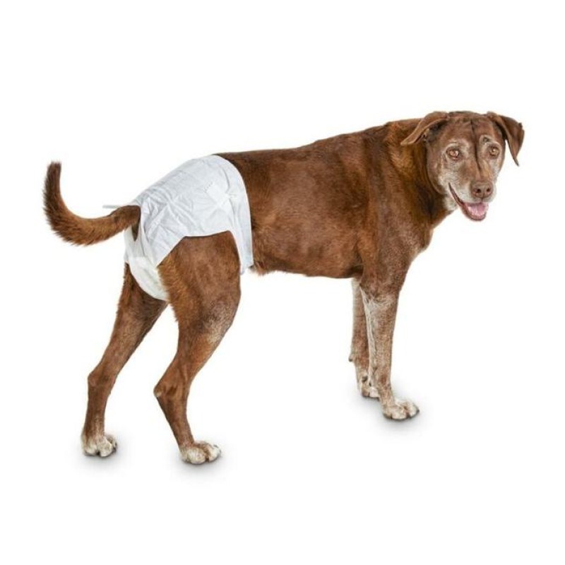 Dog Diaper Manufacturer - High Quality Absorbent Soft Male