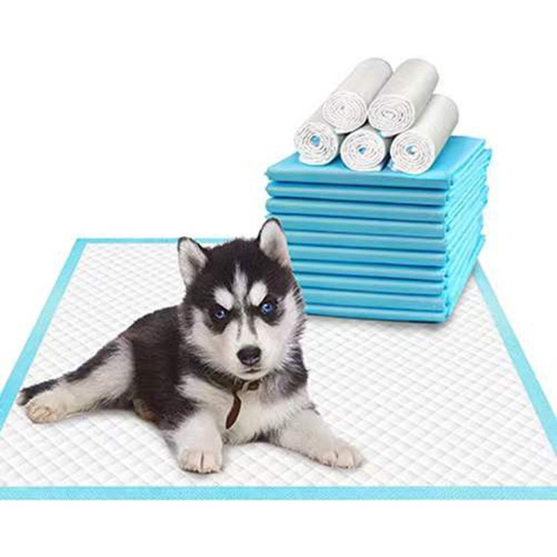 Pet Pee Pad Manufacturer - Washable Urine Holder Bag Dog