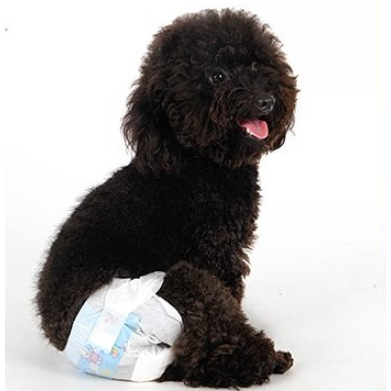 Pet Dog Diapers Factory - Factory Price Wholesale Reusable