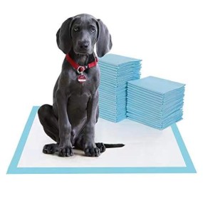 Puppy Training Pads Manufacturer - 2023 Super Absorbent 6 Layer