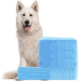 Pet Training Pad Factory - Disposable Supplies and Equipment