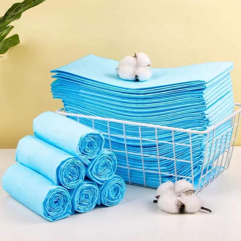 Pet Training Pads Factory - Eco Friendly Poop Bags Car Mat