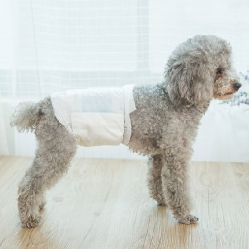 Dog Diaper Factory - High Quality Absorbent Soft Male