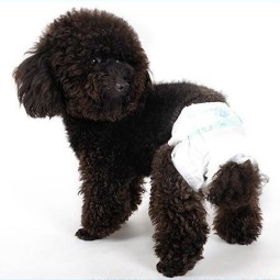 Pet Travel Accessories Manufacturer - Dog Toilets Diapers Shop