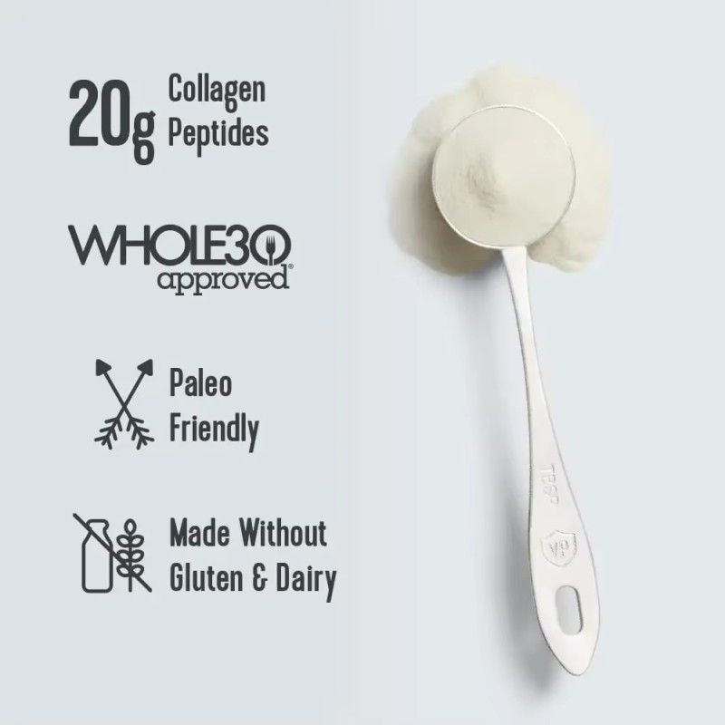 WELLBODY Wholesale Price Collagen Peptides Powder Chocolate Fish Hydrolyzed Collagen Peptide Marine Collagen Peptides Powder