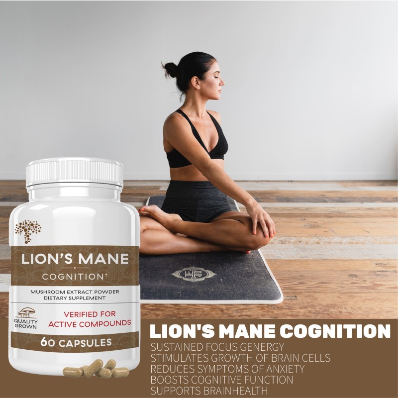 WELLBODY OEM/ODM Private Label Factory Supply Lions Mane Mushroom Capsules 100% Mushroom Extract Help Build Focus and Energy