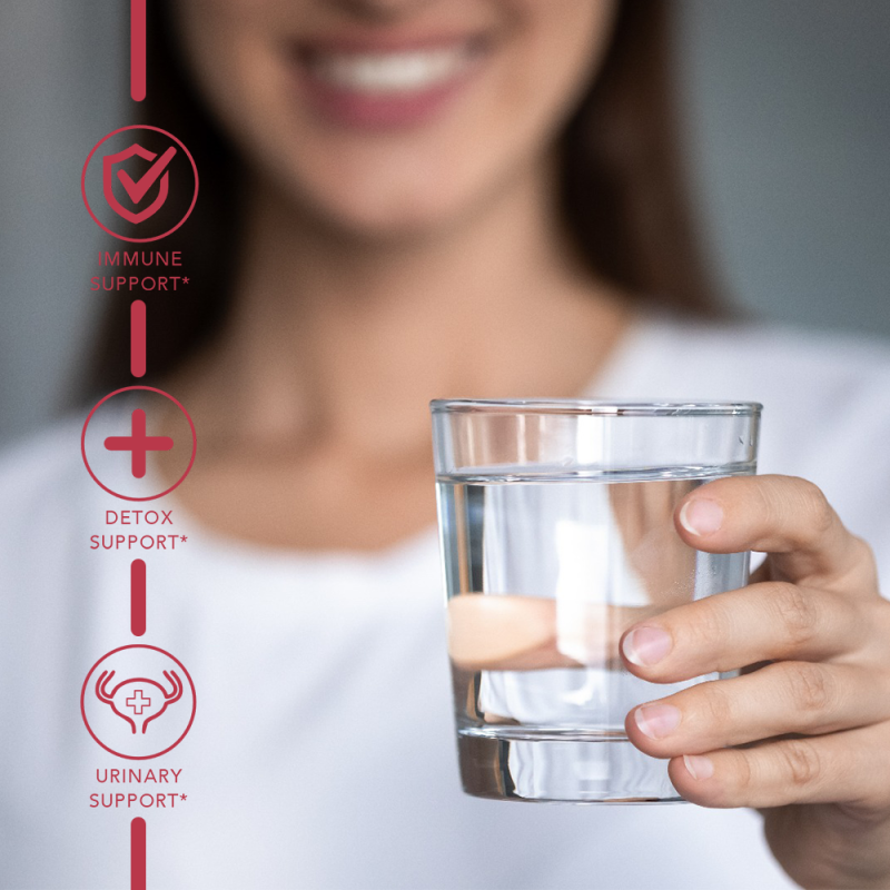 WELLBODY New Packaging Wholesale Price Health Dietary Fiber Vitamins Supplement Cranberry Probiotics Gummy Cranberry Gummies