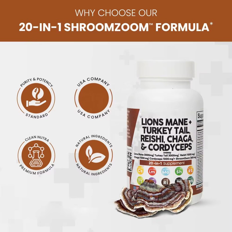 WELLBODY Lion's Mane Mushroom Capsules 20:1 Factory Supply OEM/ODM Private Label Supports Adult Body Health
