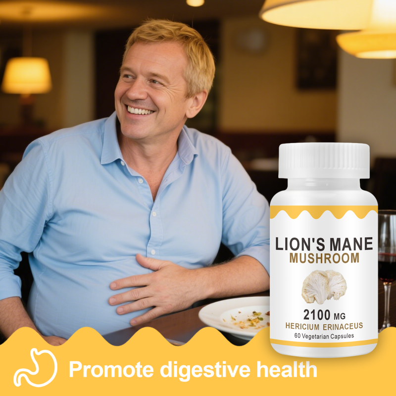 WELLBODY Organic Lion's Mane Mushroom Powder Extract Private Label Lions Mane Capsules Grain-Free Healthcare Supplement for