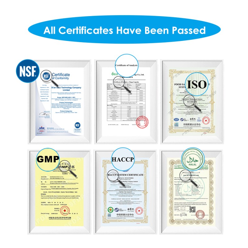 WELLBODY OEM/ODM  Private Label Wholesale Price Saw Palmetto Extract for Hair Health Saw Palmetto Oil Saw Palmetto Liquid