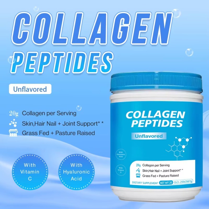 WELLBODY Wholesale Price Collagen Peptides Powder Chocolate Fish Hydrolyzed Collagen Peptide Marine Collagen Peptides Powder