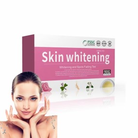 WELLBODY OEM/ODM Private Label Factory Supply Healthcare Herbal Organic Custom Skin Care Beauty Tea Healthcare for Woman Skin