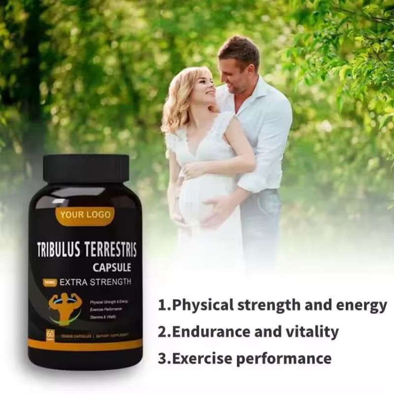 WELLBODY Private Label Factory Supply Pure High Quality Tribulus Terrestris Capsules for Man Woman Test Boost Max Capsule