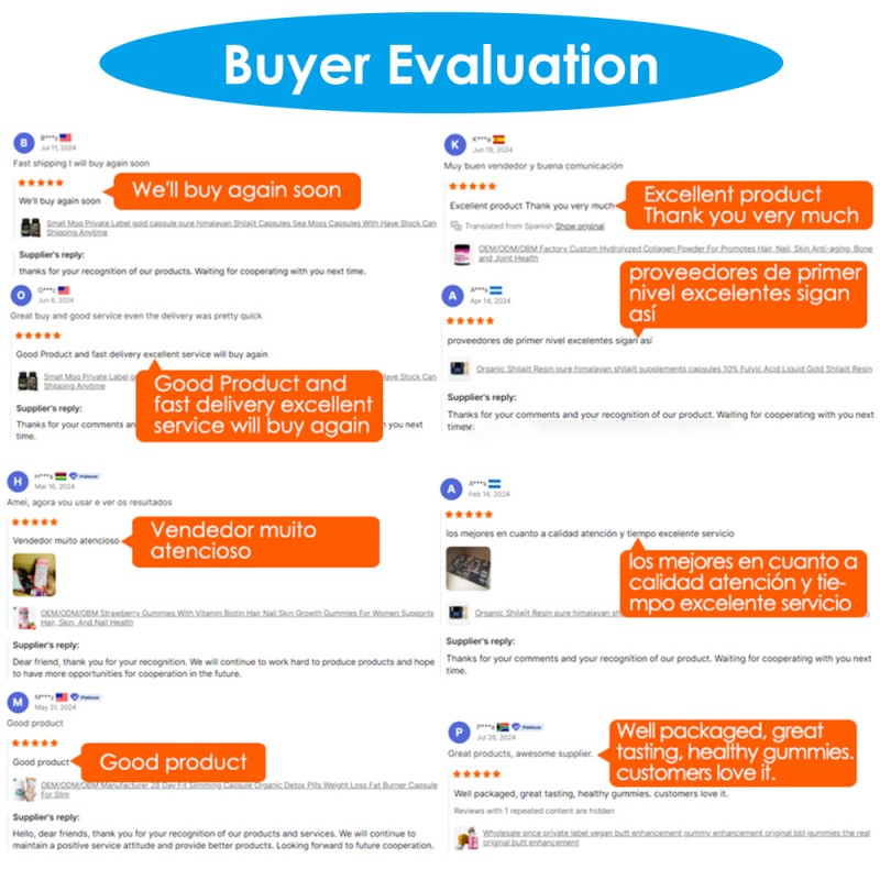 WELLBODY OEM/ODM Private Label Liquid Iron Drops Free Blood Builder Anemia Iron Supplement for Women & Men