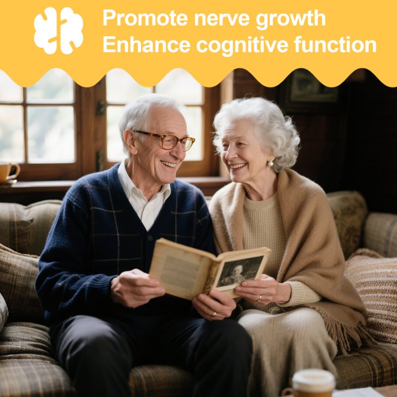 WELLBODY Organic Lion's Mane Mushroom Powder Extract Private Label Lions Mane Capsules Grain-Free Healthcare Supplement for