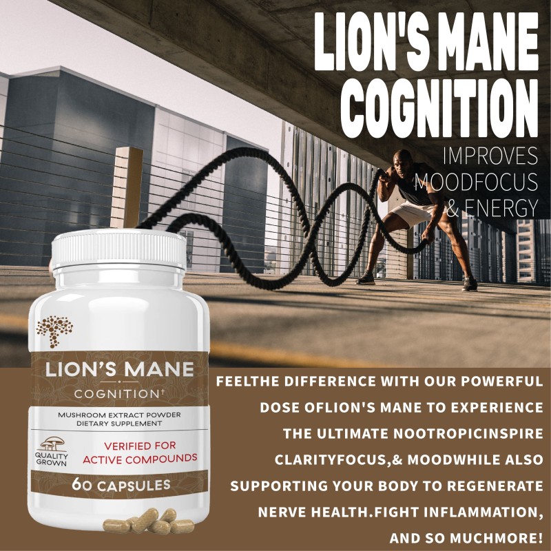 WELLBODY OEM/ODM Private Label Factory Supply Lions Mane Mushroom Capsules 100% Mushroom Extract Help Build Focus and Energy