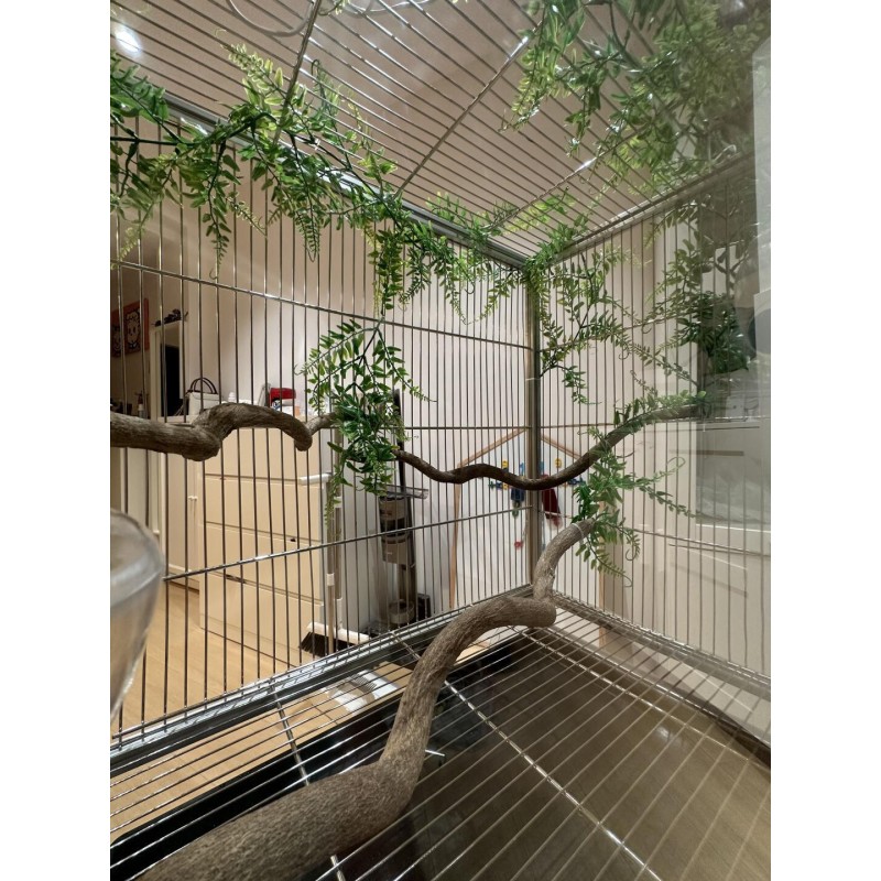 Birdcage Manufacturer - Luxury Custom Iron Double Door Acrylic